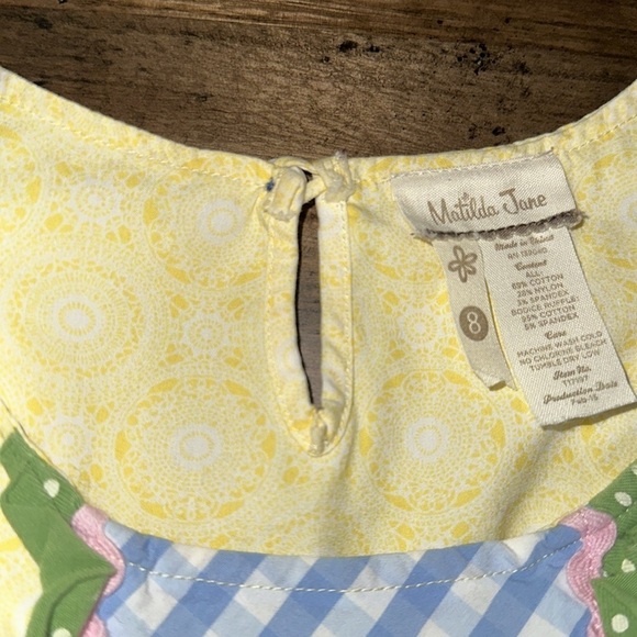 Matilda Jane MJ Take The Cake Top Dress Girls Size 8 - Picture 10 of 17